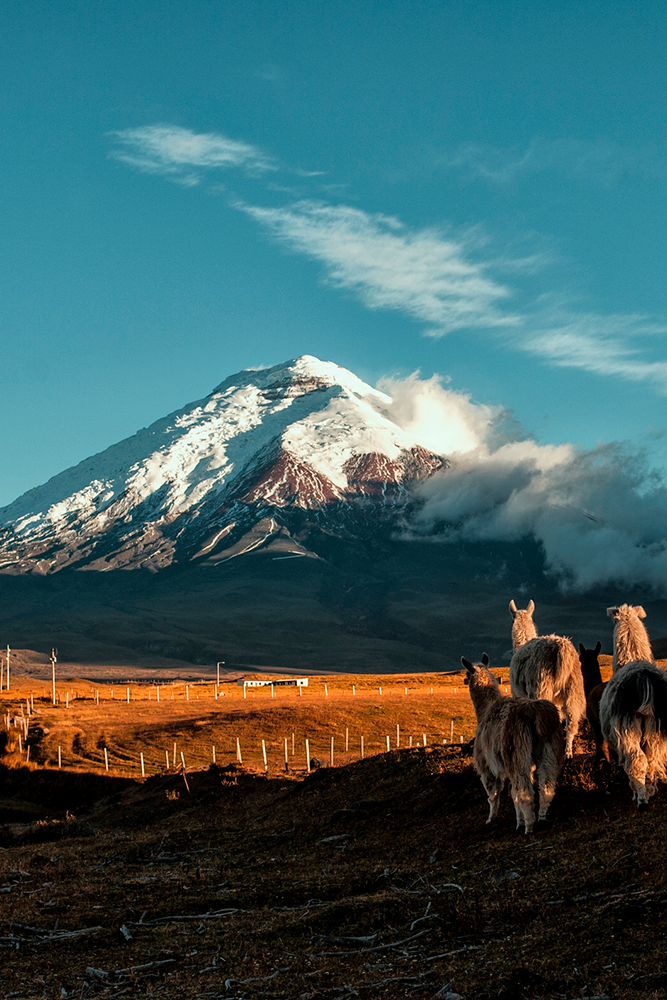 Route vers le Parc National de Cotopaxi