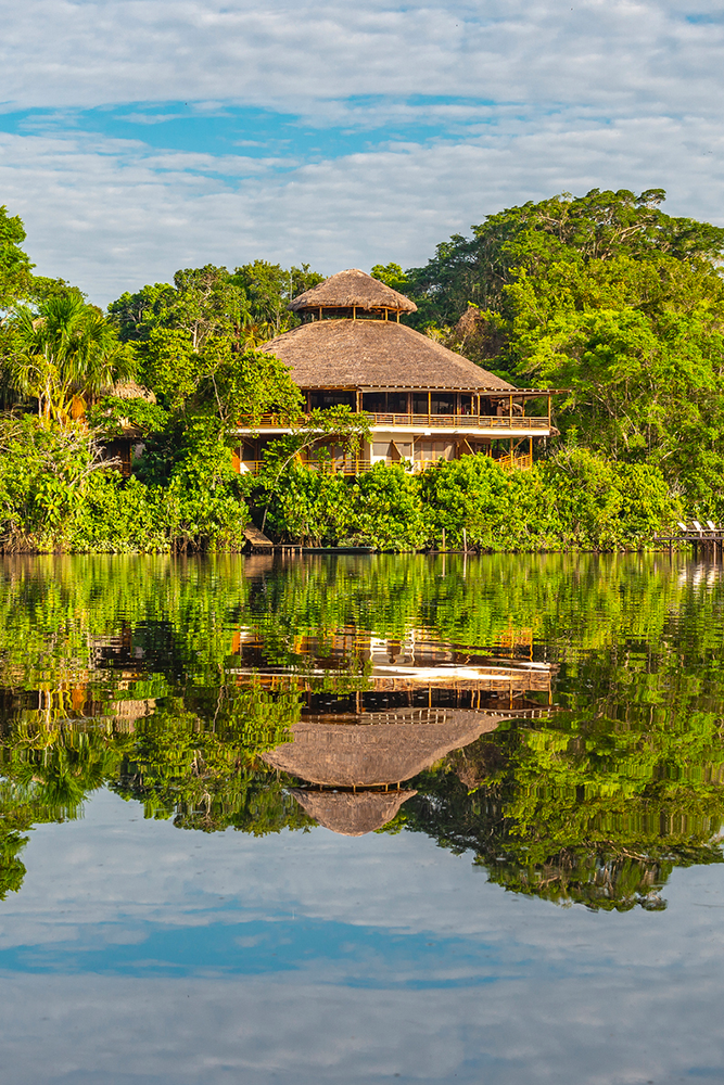 Nature amazonienne