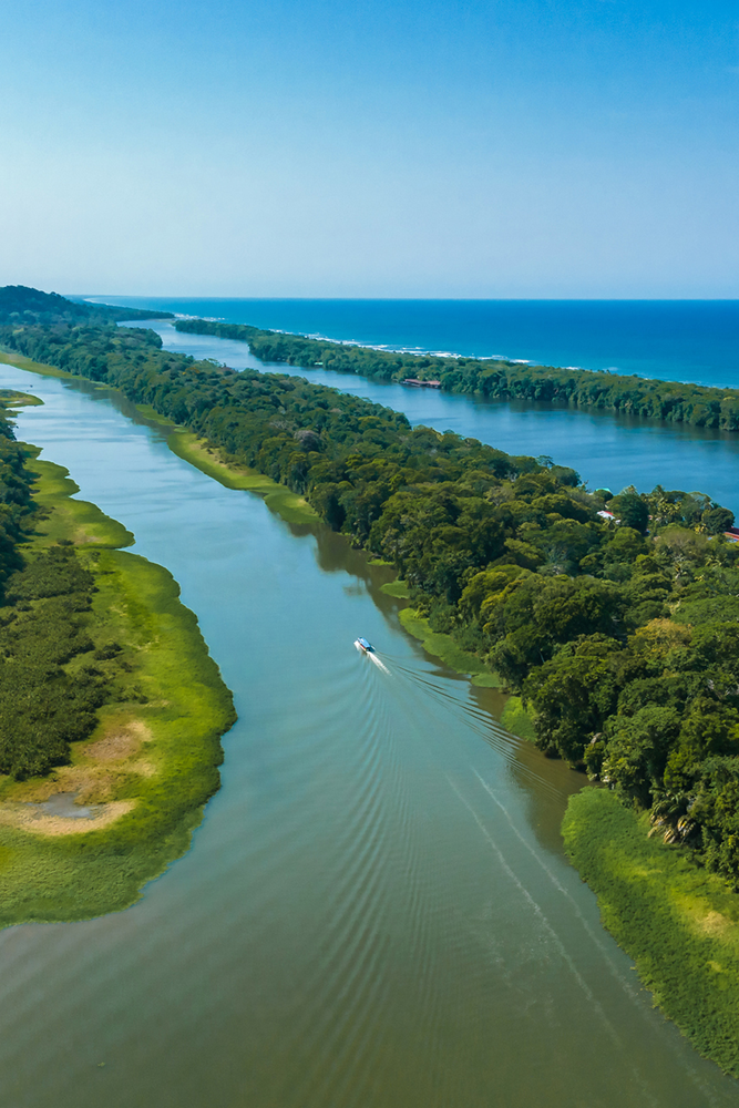 Tortuguero : Canaux et faune tropicale