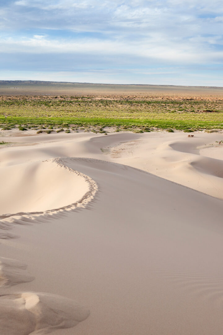 Découverte des dunes de Hongor