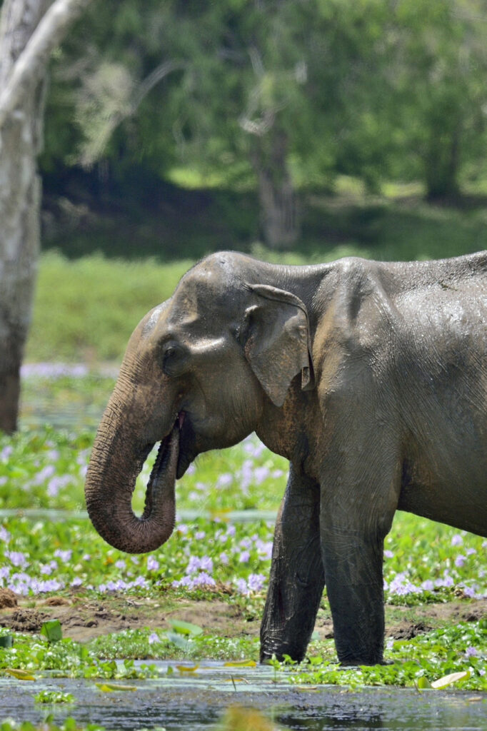 7 destinations au cœur de l’océan Indien