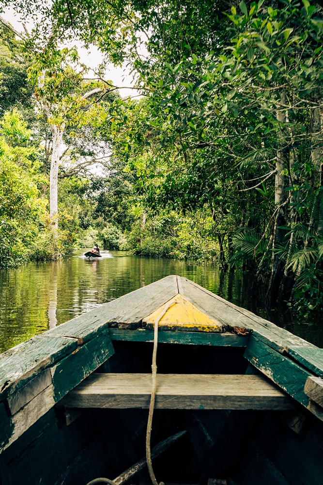 Depuis une pirogue traditionnelle en Amazonie