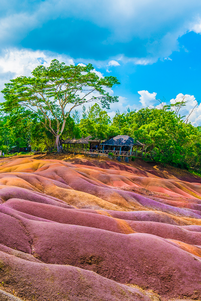 Chamarel - Bel Ombre : Découverte authentique au fil des chemins