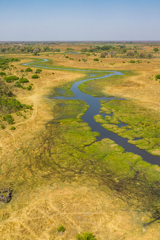 Rivière Kwhai, Delta de l'Okavango, Botswana