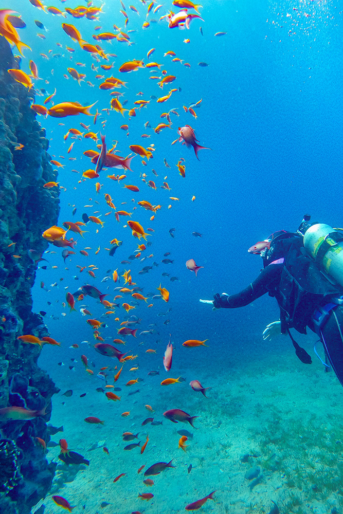 Prochaine étape : les fonds marins d'Aqaba