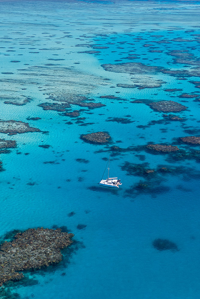 Grande Barrière de Corail : Journée en mer 
