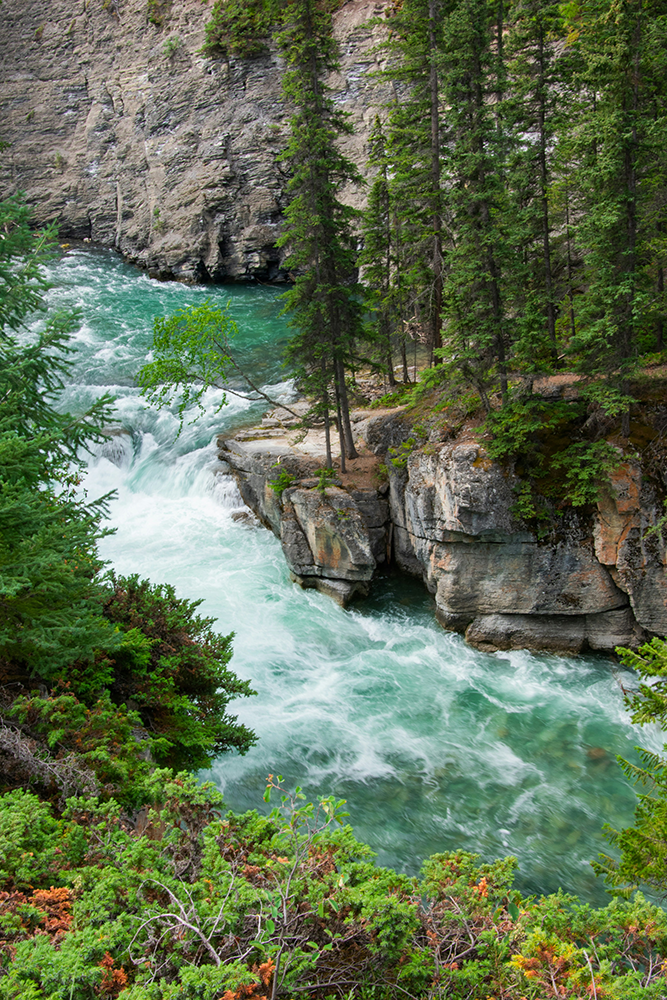 Canyon Maligne : Faune, fjords et légendes