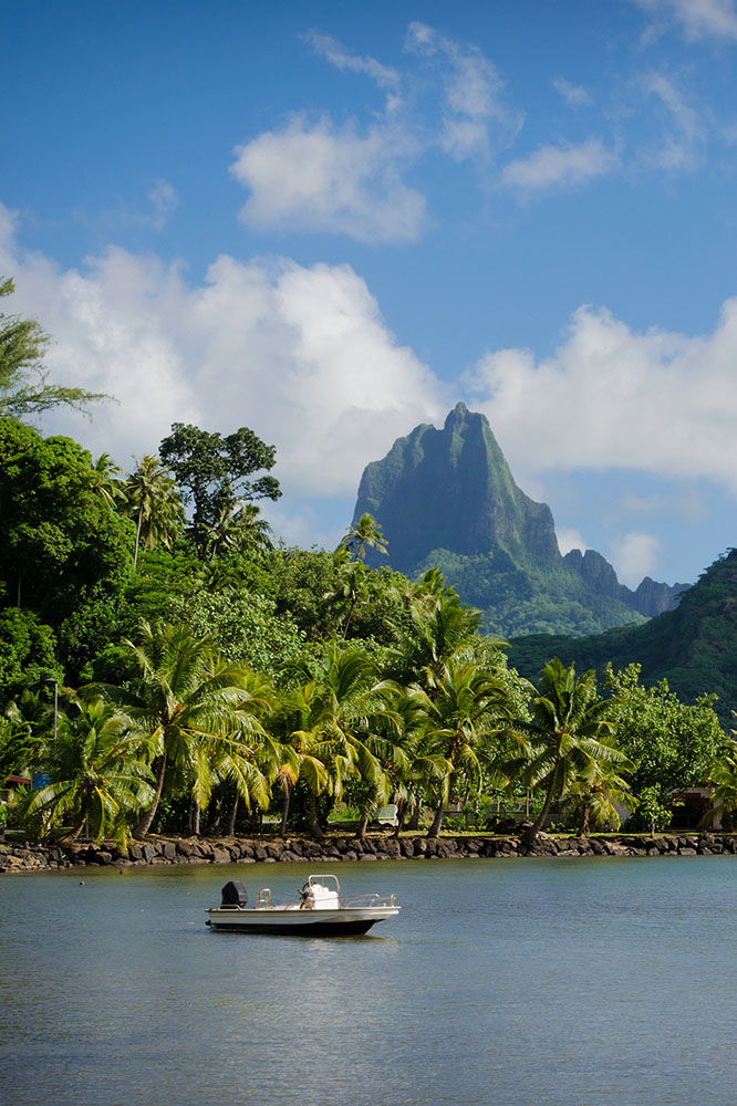 Moorea : Entre légende et carte postale vivante