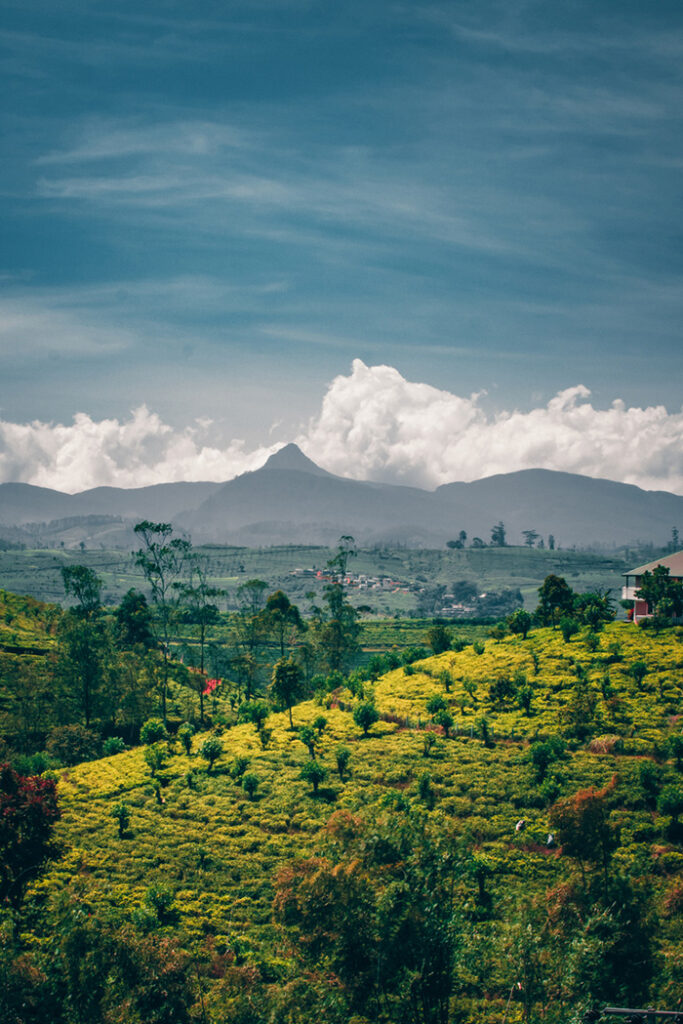 7 destinations au cœur de l’océan Indien