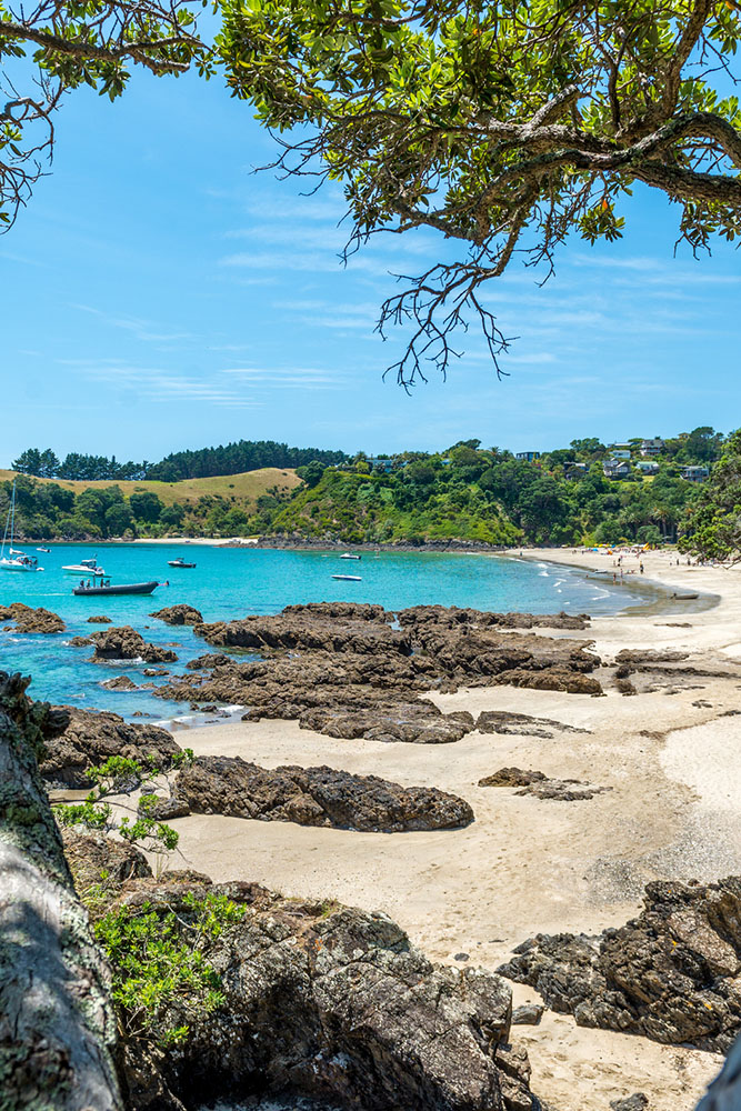 Sensations fortes avant votre arrivée sur l’île de Waiheke