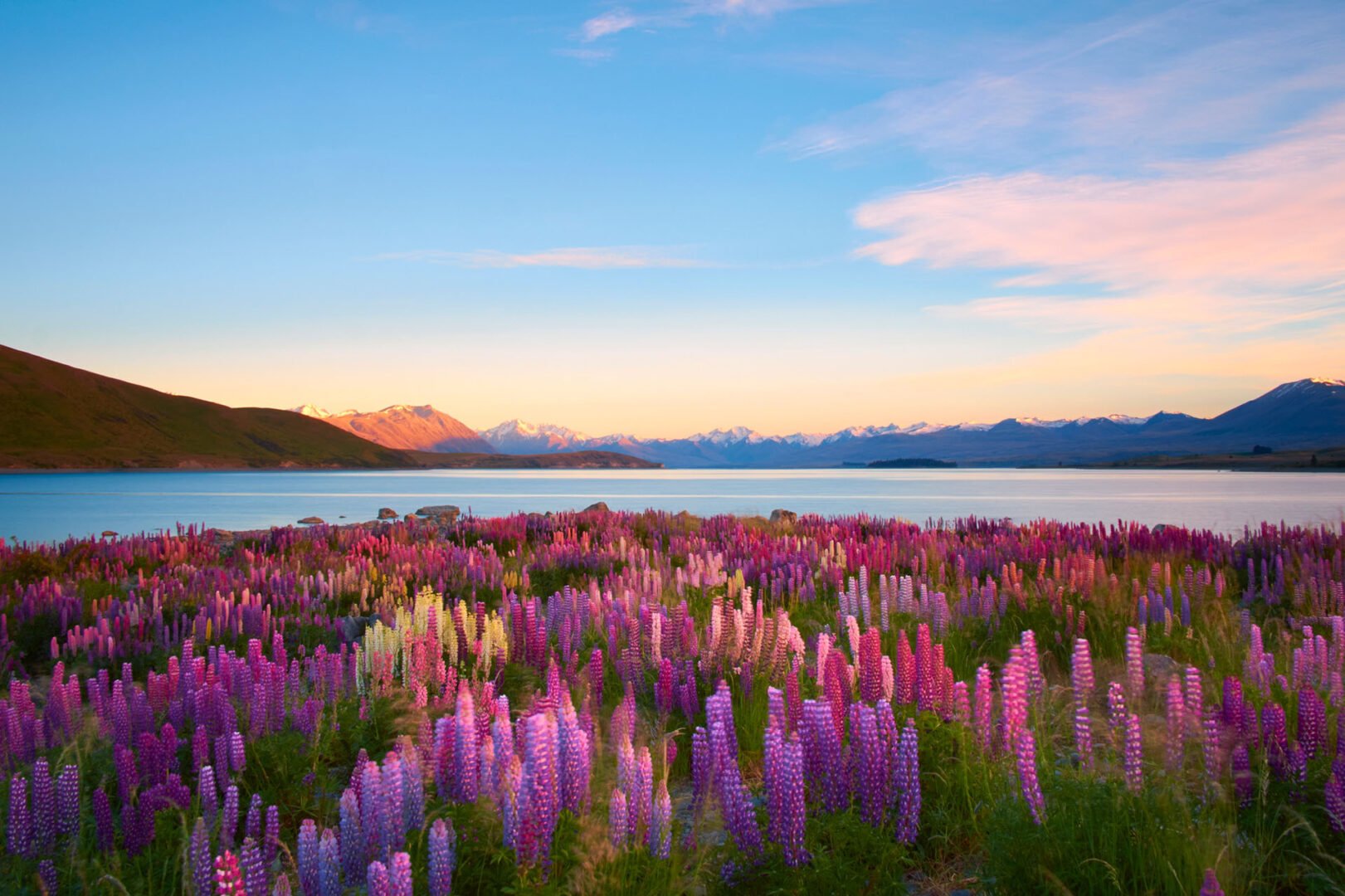 Merveilles de l'île du Sud, de Kaikoura à Queenstown