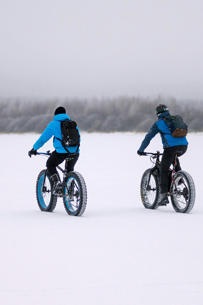 Gällivare : Sur les traces de l’élan et en fat bike