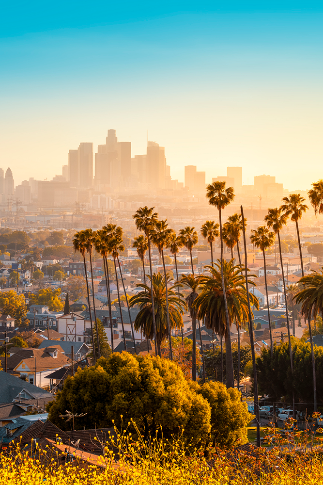 Arrivée et découverte de Los Angeles