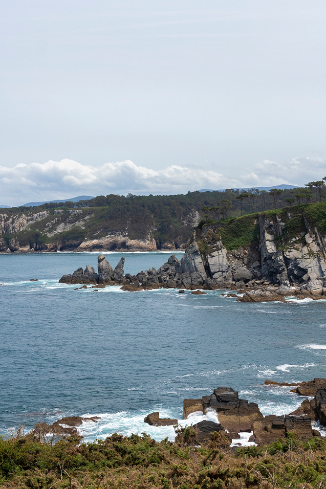 Croisière vers Kyuquot