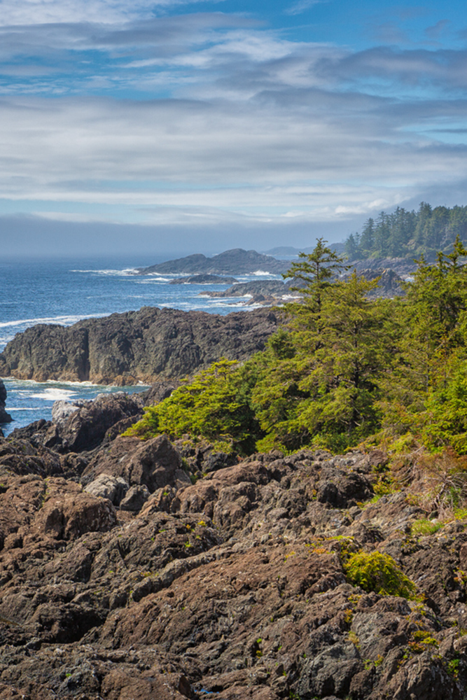 Découvertes au Parc National du Pacific Rim
