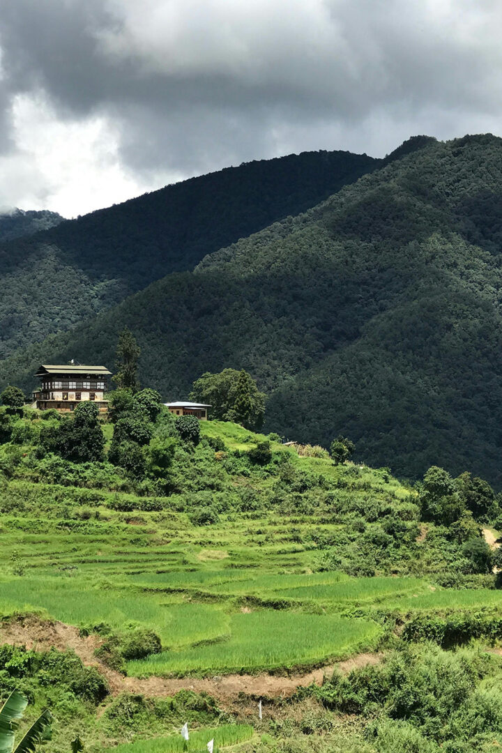 Gangtey – Punakha : Là où les rivières s’embrassent