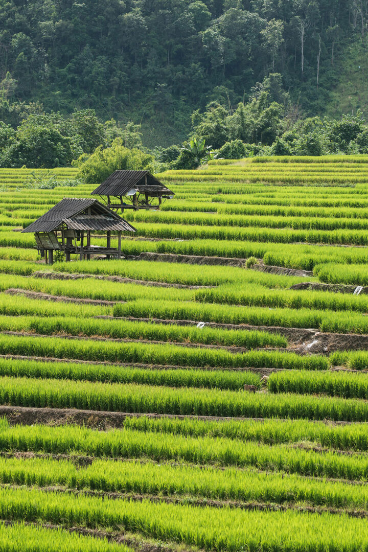 Direction Mai Chau