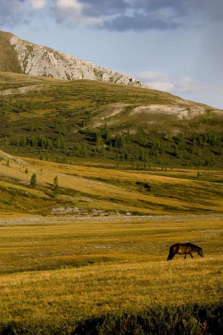 Au cœur des paysages de Altan Hökhii
