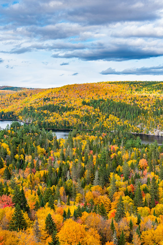 Activités dans la région de la Mauricie