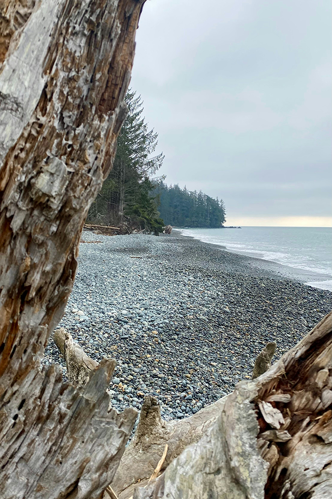 Découverte de Sooke