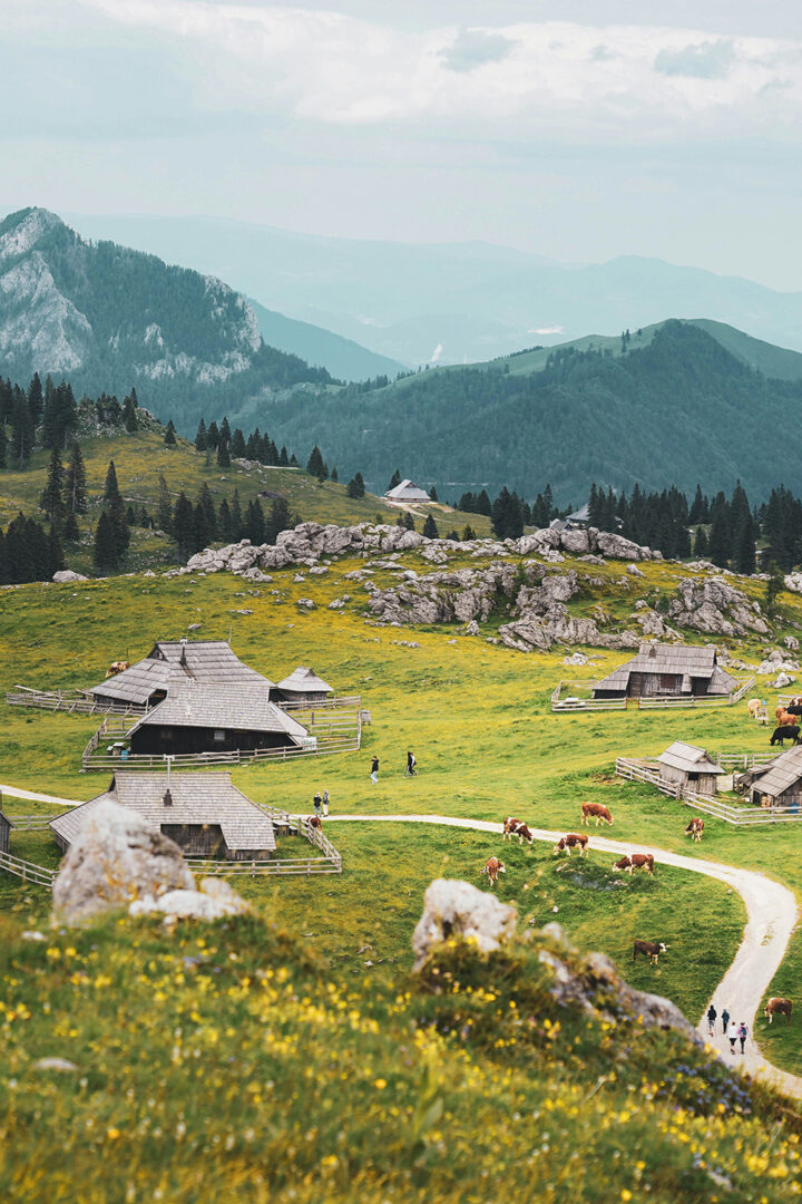 Route vers Velika Planina