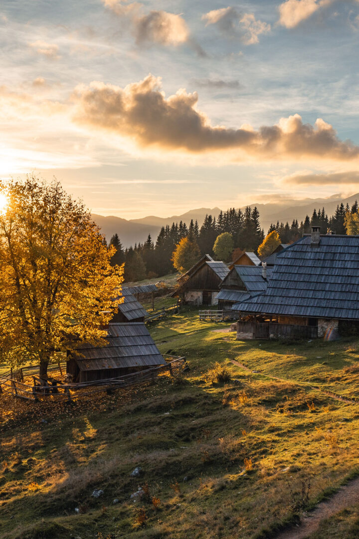 Balade dans les environs de Velika Planina