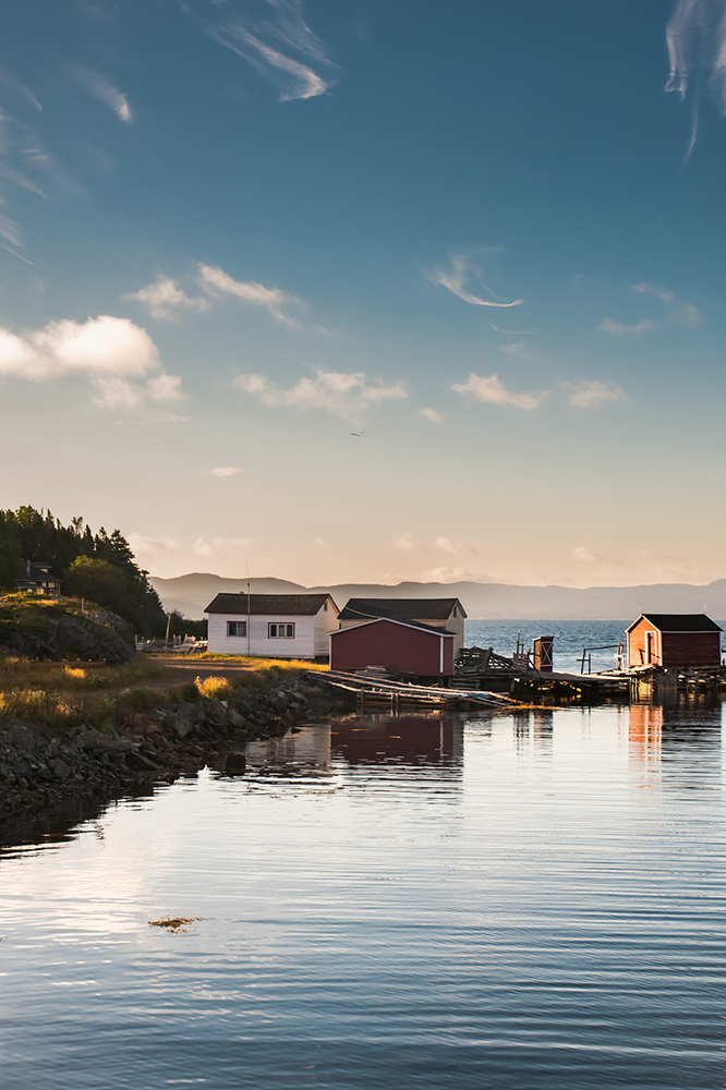 Au cœur d'Harrington Harbour