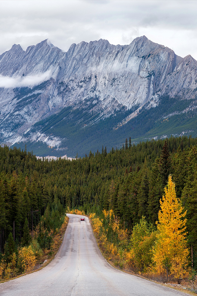 Découverte du Parc National de Jasper