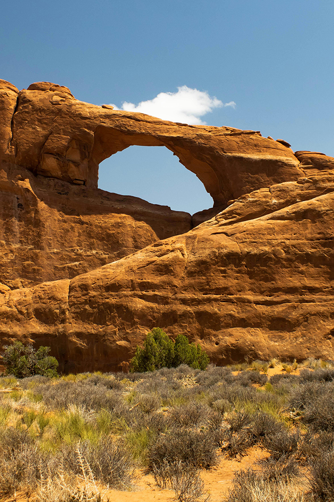 Découverte de Moab aux Etats-Unis