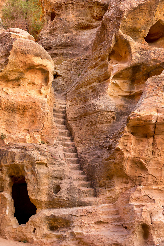 Visite du site de Petra