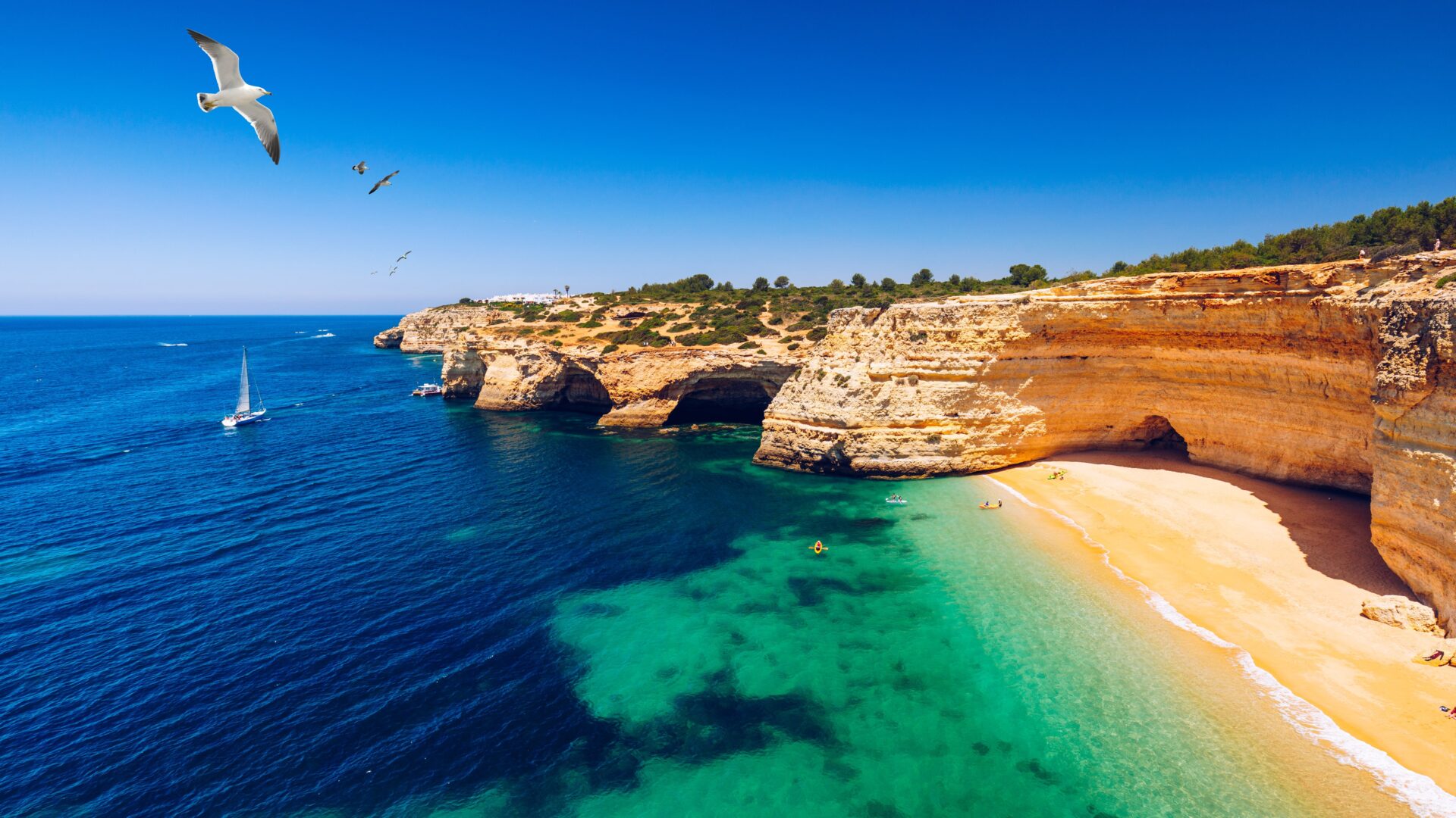 L&rsquo;Algarve en side car