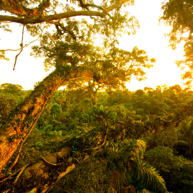 Equateur