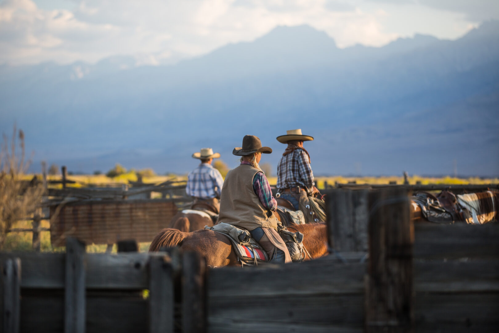 Dans la peau d&rsquo;un cowboy