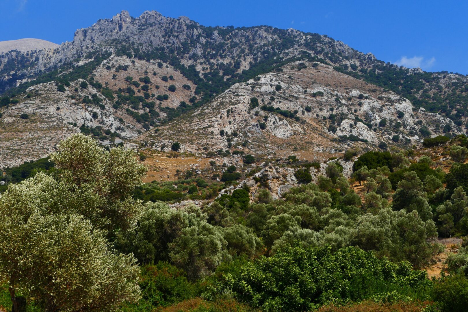 À pied sur les chemins d&rsquo;Eleftherna et Arkadi