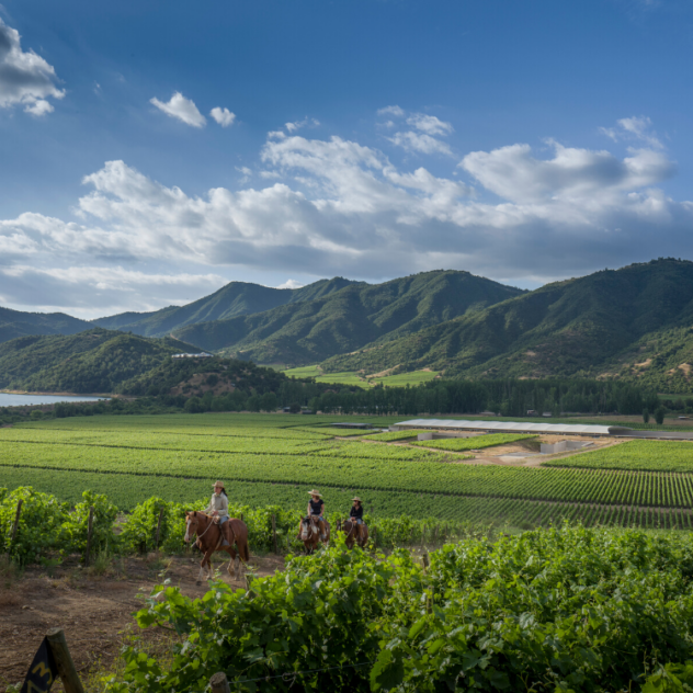 Voyage épicurien du Chili à l'Argentine