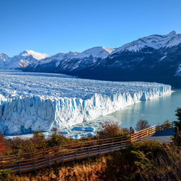 Argentine