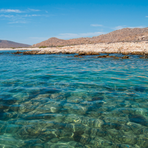 SUR UNE ÎLE DESERTE AU MEXIQUE