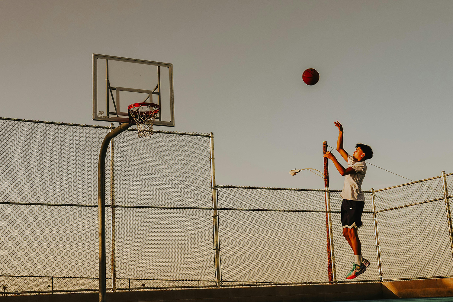 Visite guidée privative sur la culture du basket à New York