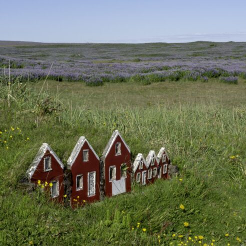 Nos expériences insolites en Islande
