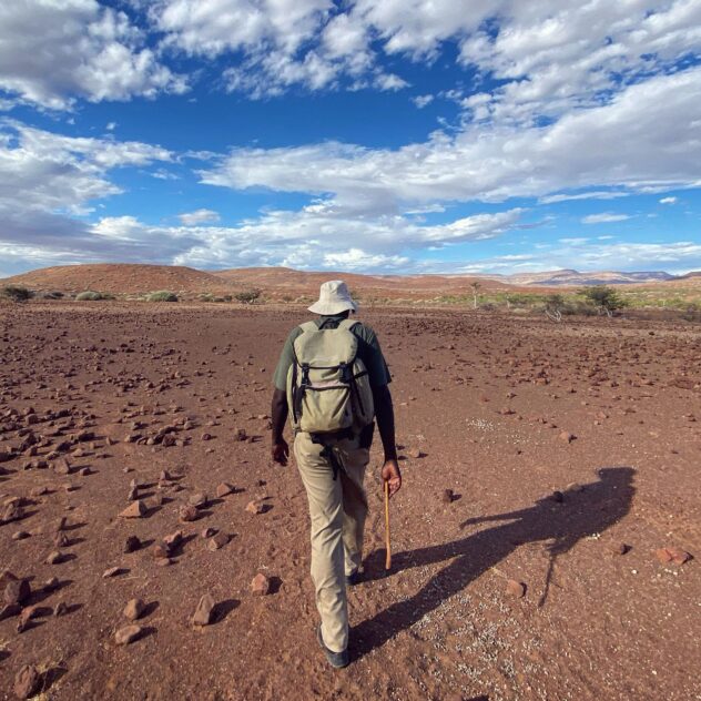 Rhino tracking