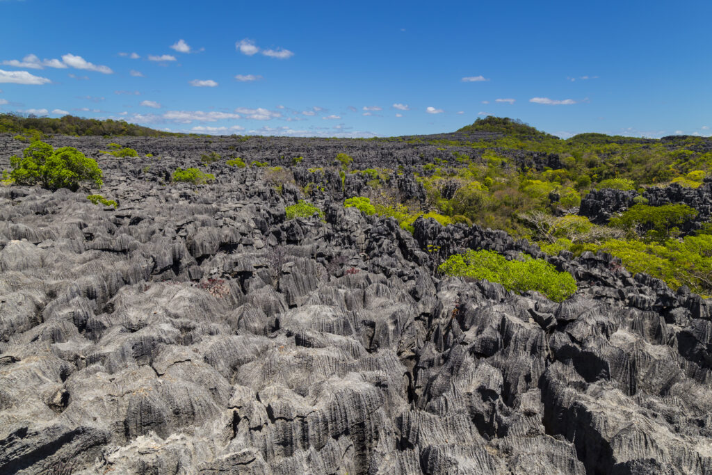 Un été au rythme de la nature
