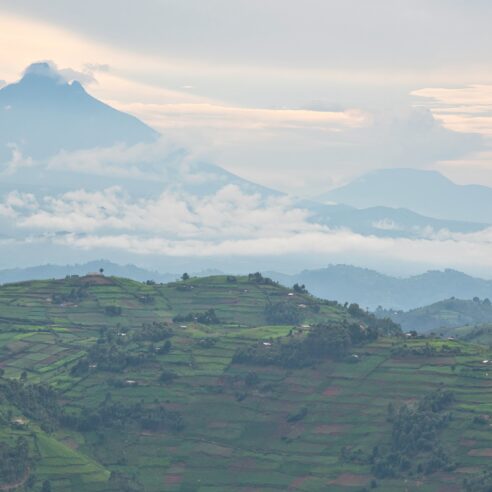 Afrique