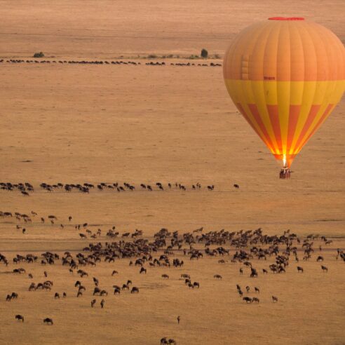 Afrique