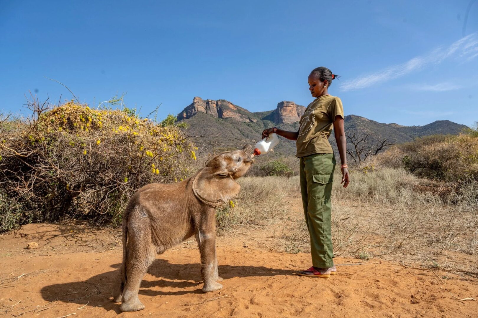 Reteti Elephant sanctuary