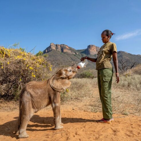 Kenya