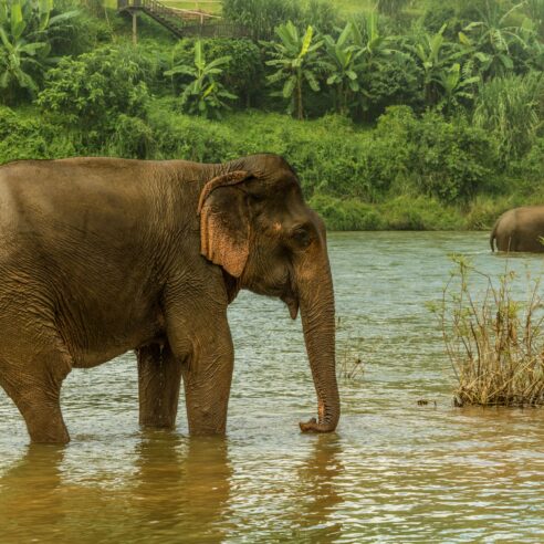 Laos