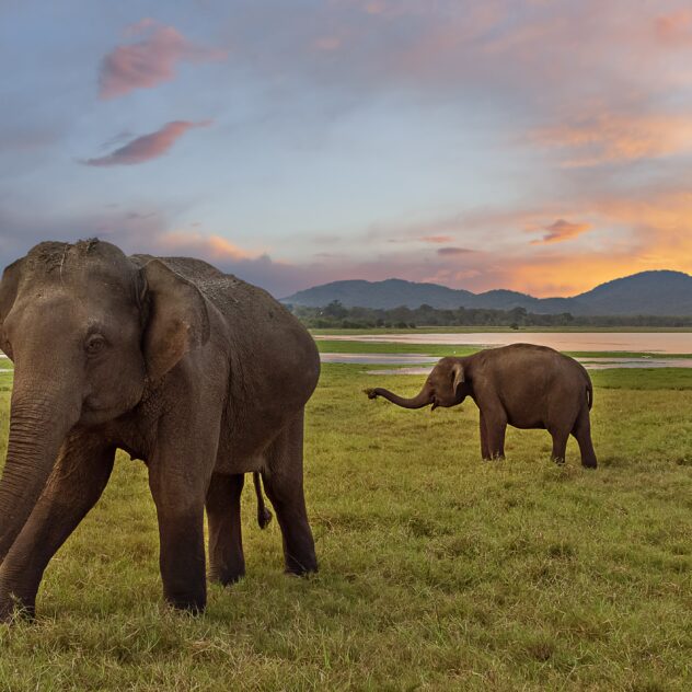 Sri Lanka