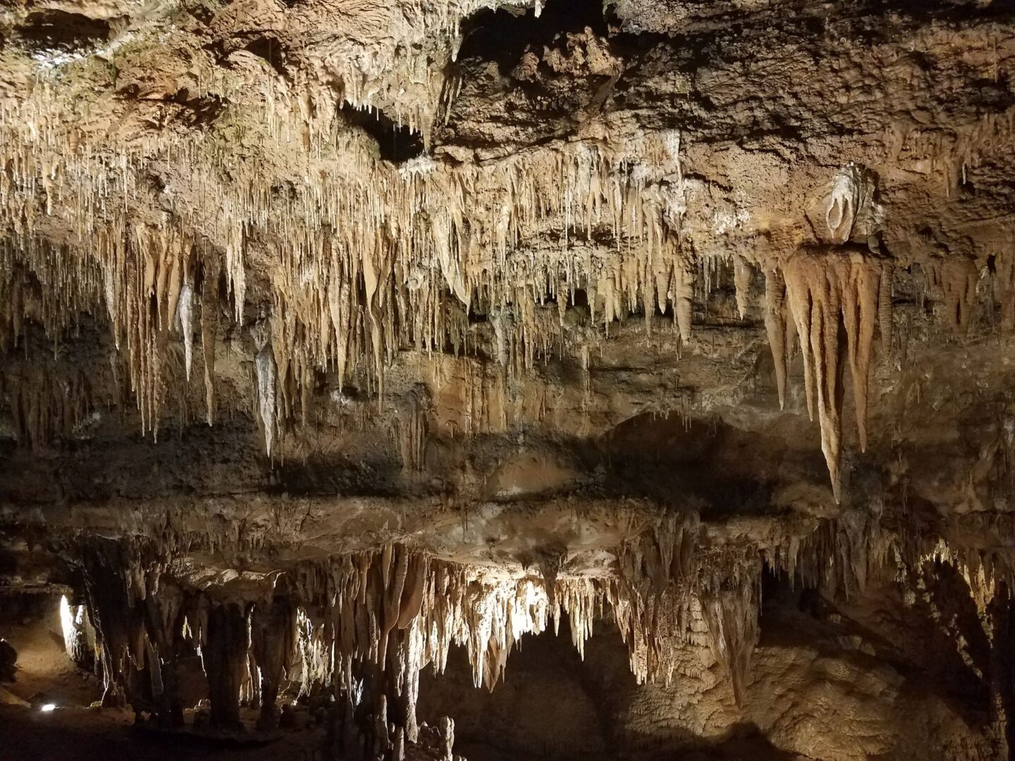 Découverte de la culture Noongar et de Ngilgi Cave au son du Didgeridoo
