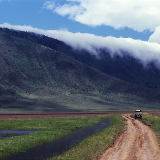 Typhaine TRANCHAND