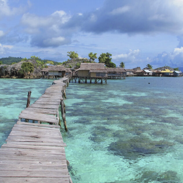 Sulawesi : l'île aux merveilles